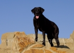 01 Sina on the Rock